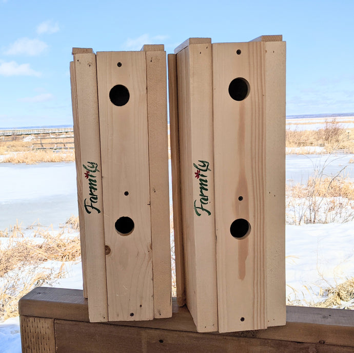 Duplex Birdhouse Kit